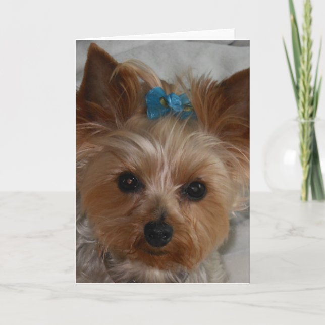 Tarjeta Pequeño aliado (Anverso)