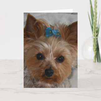 Tarjeta Pequeño aliado