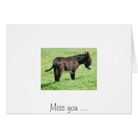 Tarjeta PEQUEÑO BURRO, Srta. usted…