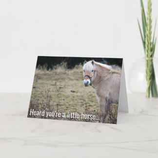 Tarjeta Pequeño caballo se pone bien pronto