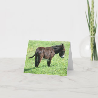 TARJETA PEQUEÑO DONKEY