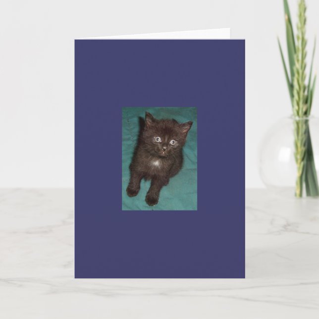 Tarjeta Pequeño Gatito Negro (Anverso)