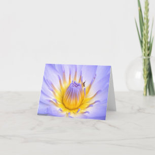 Tarjeta Pequeño invitado