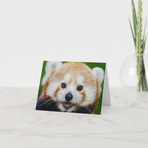 Tarjeta PEQUEÑO NOTECard BLANCO: PANDA ROJO