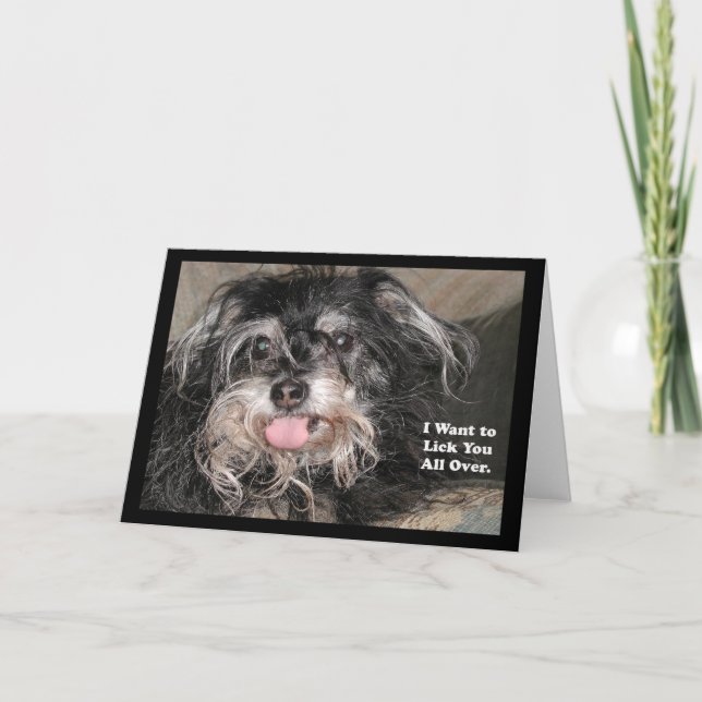 Tarjeta "Pequeño perro Joey: "Quiero lamerle por todo" " (Anverso)