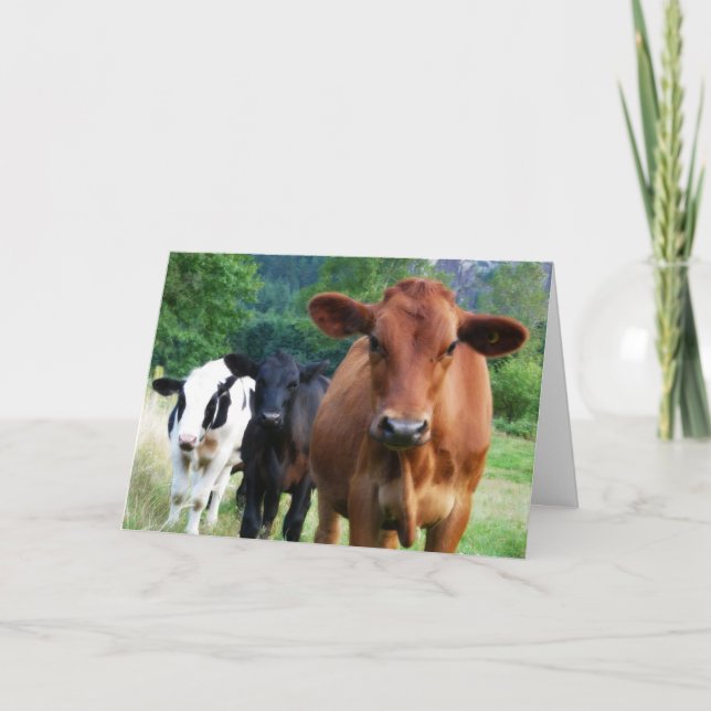Tarjeta Pequeño rebaño de tres vacas (Anverso)