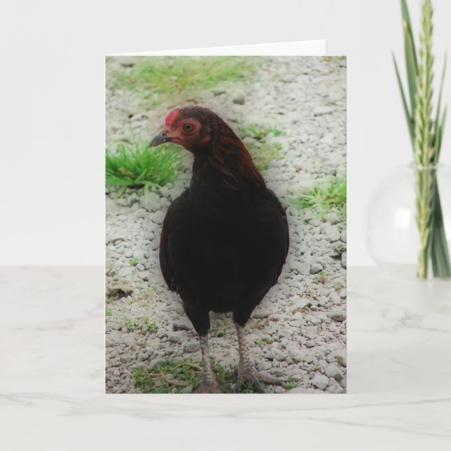 Tarjeta Pequeño Rooster Negro (Anverso)