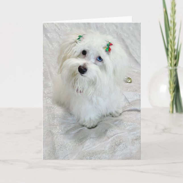 Tarjeta Pequeño tesoro (Anverso)