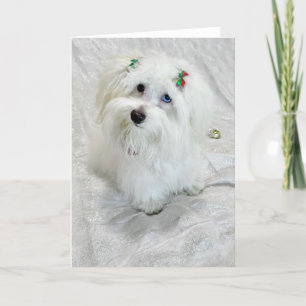 Tarjeta Pequeño tesoro