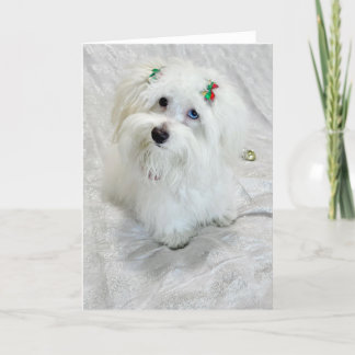 Tarjeta Pequeño tesoro