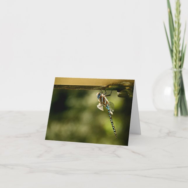 Tarjeta "Pequeño Visitante" (Anverso)