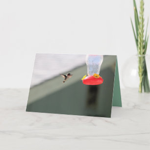 Tarjeta Pequeño y codicioso compañero