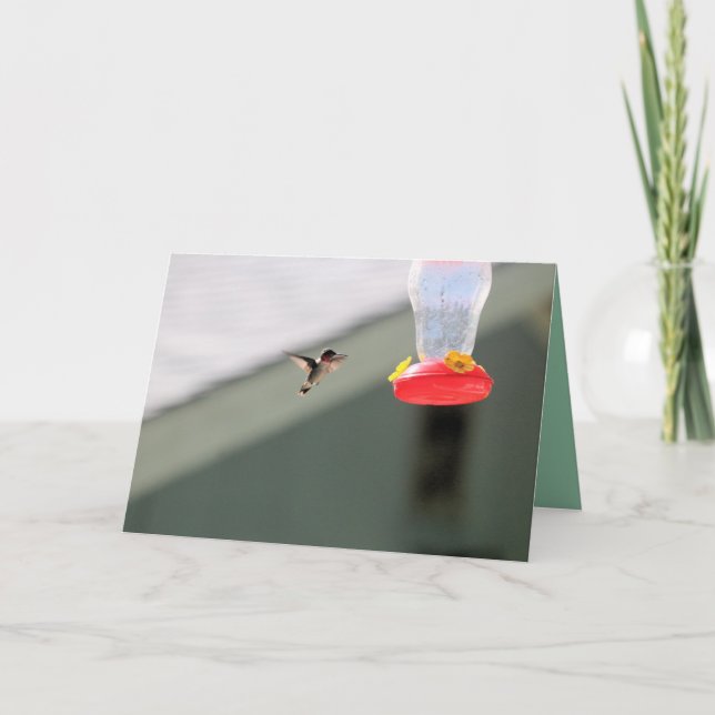 Tarjeta Pequeño y codicioso compañero (Anverso)