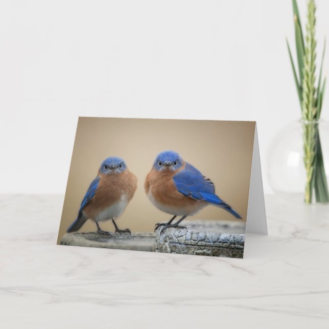 Tarjeta Pequeños hombres gruñones (Anverso)