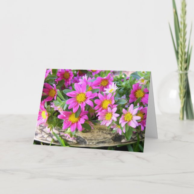 Tarjeta Pequeños tontos (Anverso)