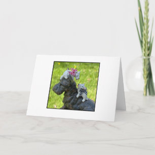 Tarjeta Pequeños Westis Blancos