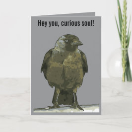 Tarjeta Perca Curiosa Cuervo de Capucha Negra