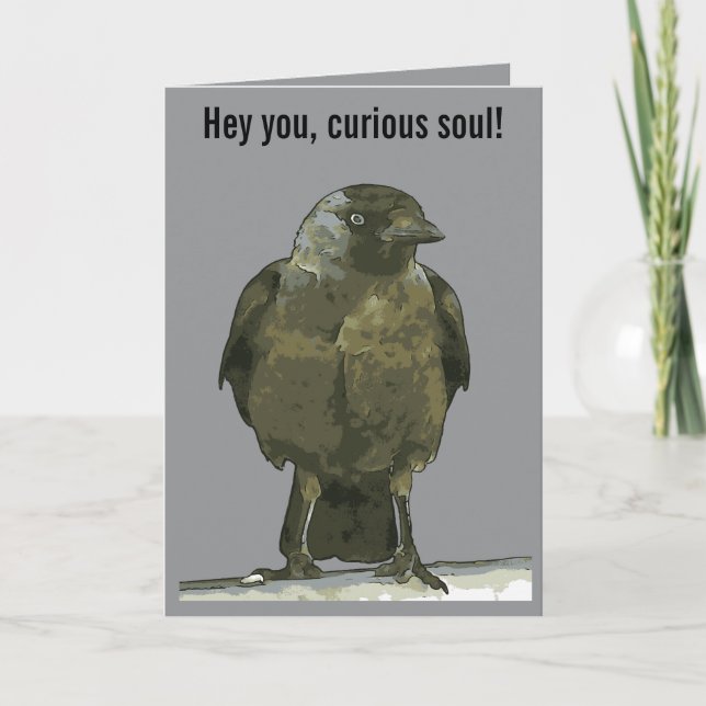 Tarjeta Perca Curiosa Cuervo de Capucha Negra (Anverso)