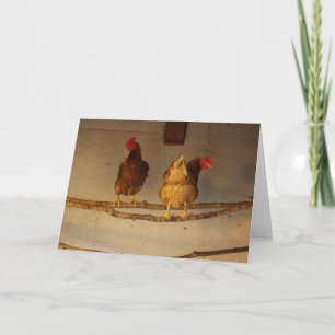 Tarjeta "Perchando" a dos pollos encarnados en Coop / Henh