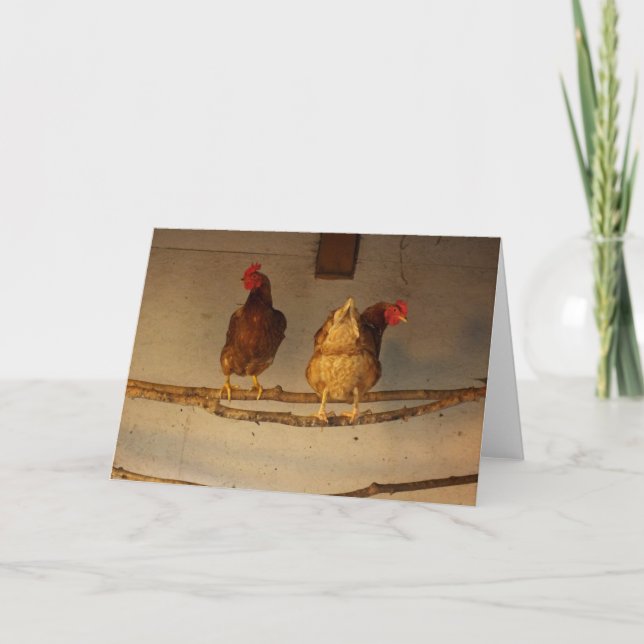 Tarjeta "Perchando" a dos pollos encarnados en Coop / Henh (Anverso)