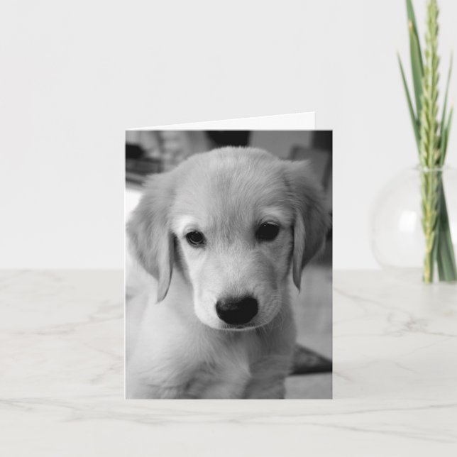 Tarjeta Perder a tu cachorro (Anverso)