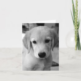 Tarjeta Perder a tu cachorro