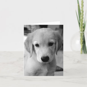 Tarjeta Perder a tu cachorro