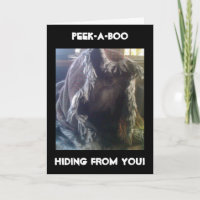 PERDÍ TU VERGÜENZA DE CUMPLEAÑOS CONMIGO