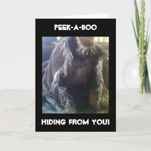 TARJETA PERDÍ TU VERGÜENZA DE CUMPLEAÑOS CONMIGO