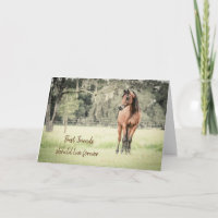 Pérdida de caballo árabe: tu carta de solidaridad