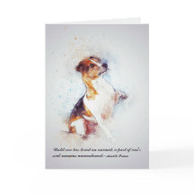 Pérdida de condolencia de encargo del perro casero