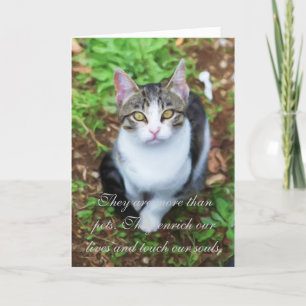 Tarjeta Pérdida de gato