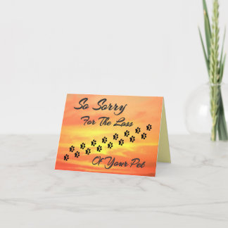 Tarjeta Perdida de gato/perro por mascota