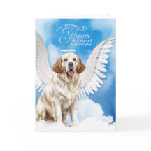 Pérdida de la simpatía de los Mascotas españoles