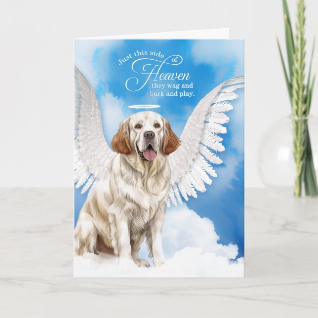 Tarjeta Pérdida de la simpatía de los Mascotas españoles (Anverso)