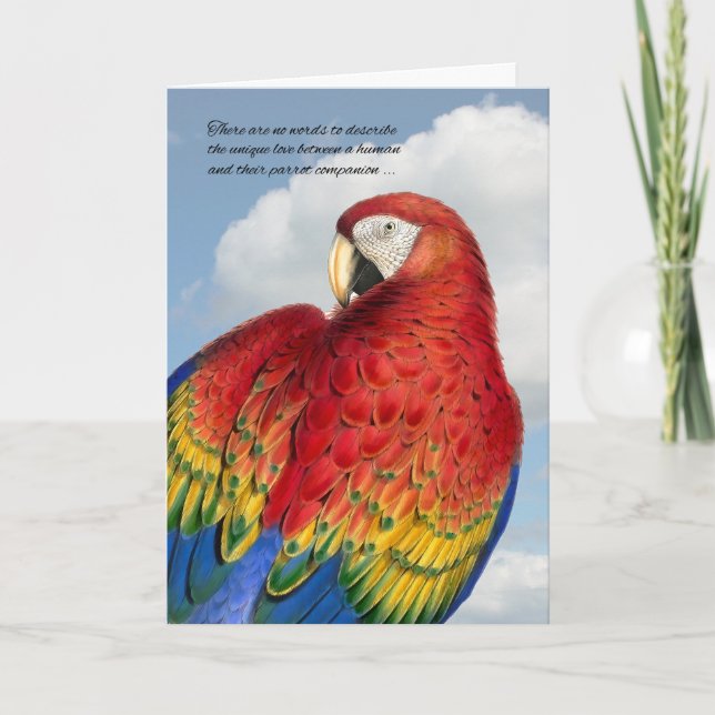 Tarjeta Pérdida de la simpatía de un Mascota de aves: el l (Anverso)