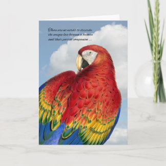 Tarjeta Pérdida de la simpatía de un Mascota de aves: el l