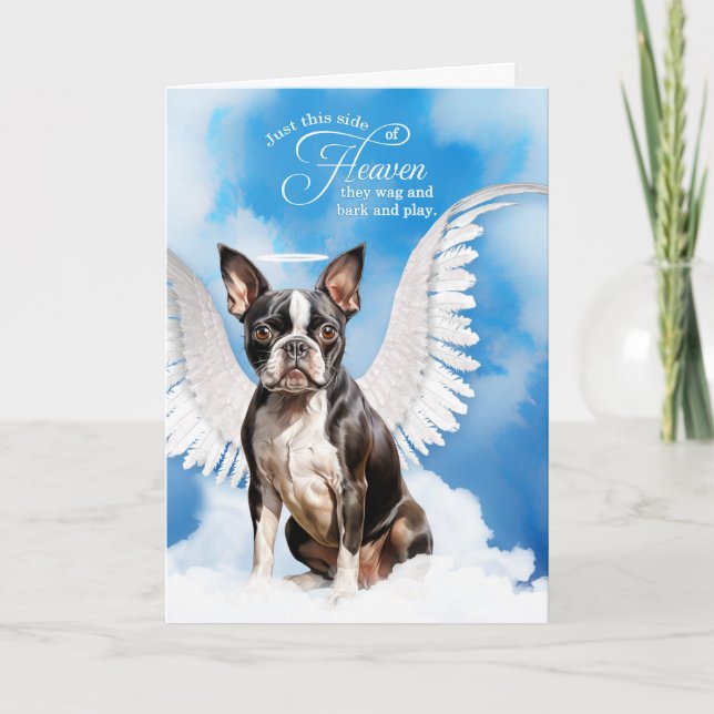 Tarjeta Pérdida de la simpatía de un Mascota de Boston Ter (Anverso)