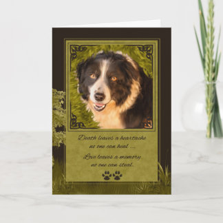 Tarjeta Pérdida de la simpatía de un Mascota del borde del