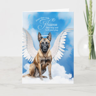 Tarjeta Pérdida de la simpatía de un perro malinois Angel 