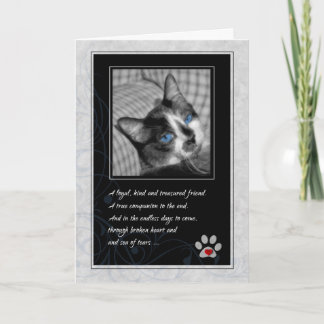 Tarjeta Pérdida de la simpatía del gato por el Mascota de 