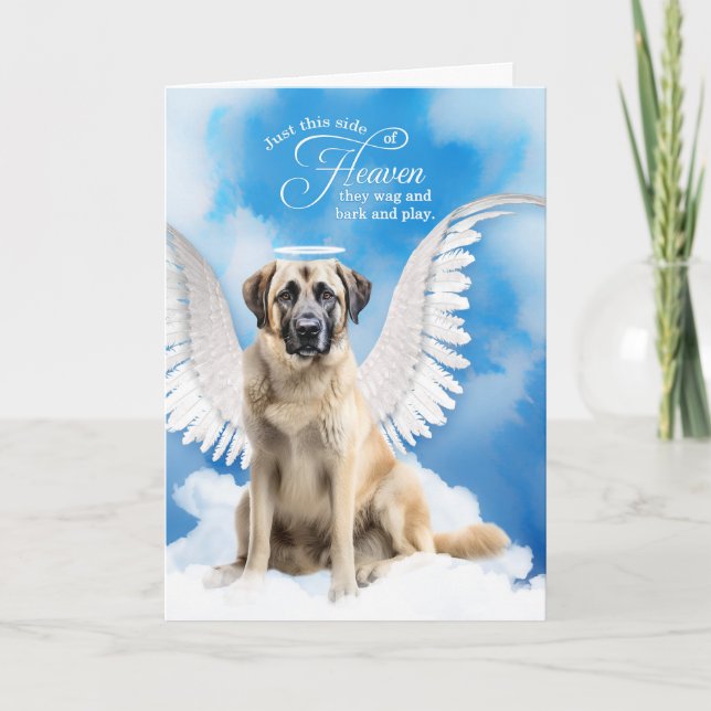 Tarjeta Pérdida de la simpatía del Mascota de Pastor Anato (Anverso)