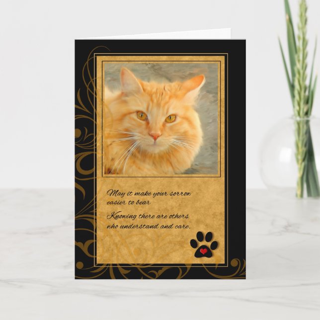 Tarjeta Pérdida de la simpatía del Naranja del gato Tabby  (Anverso)