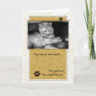 Tarjeta Pérdida de la simpatía por el gato, el amarillo y 