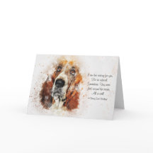Pérdida de Mascota Perro (Basset Hound) Conmiserac