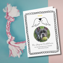 Pérdida de Mascota Simpatía Alas de Ángel Perro Fo