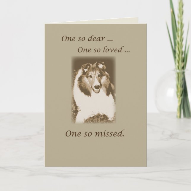 Tarjeta Pérdida de mascota, simpatía por perros Sheltie, S (Anverso)