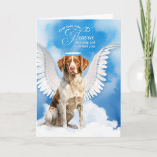 Tarjeta Pérdida de Perro Brittany Spaniel Mascota Conmiser