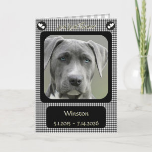 Tarjeta Pérdida de Perro Mascota a Cuadros Negros y Blanco