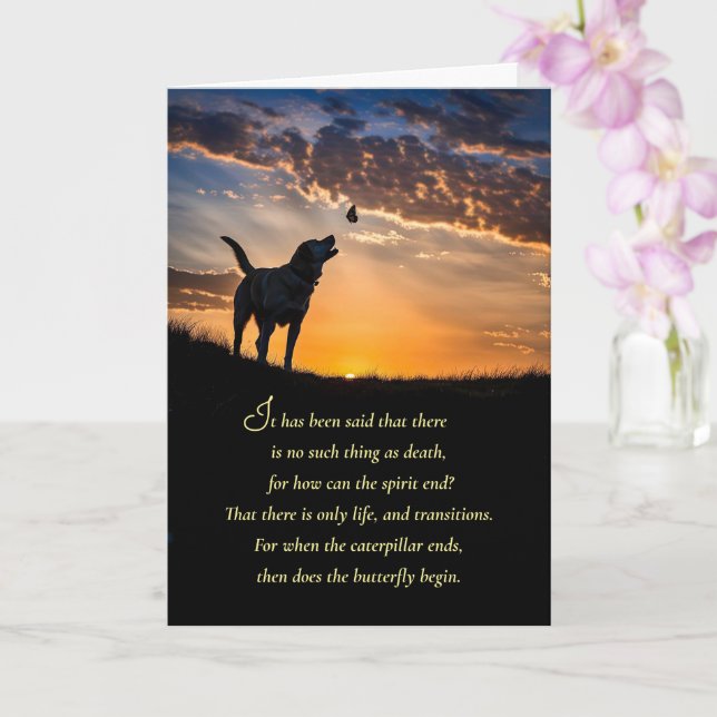 Tarjeta Pérdida de Perro Mascota con Mensaje Espiritual (Orquídea)